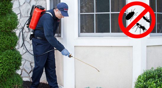 Evciler Tahtakurusu İlaçlama böcek ilaçlama ve haşere kontrolü — ilaclama-tr.com